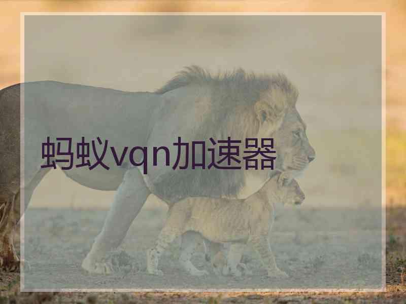 蚂蚁vqn加速器