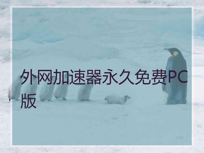 外网加速器永久免费PC版