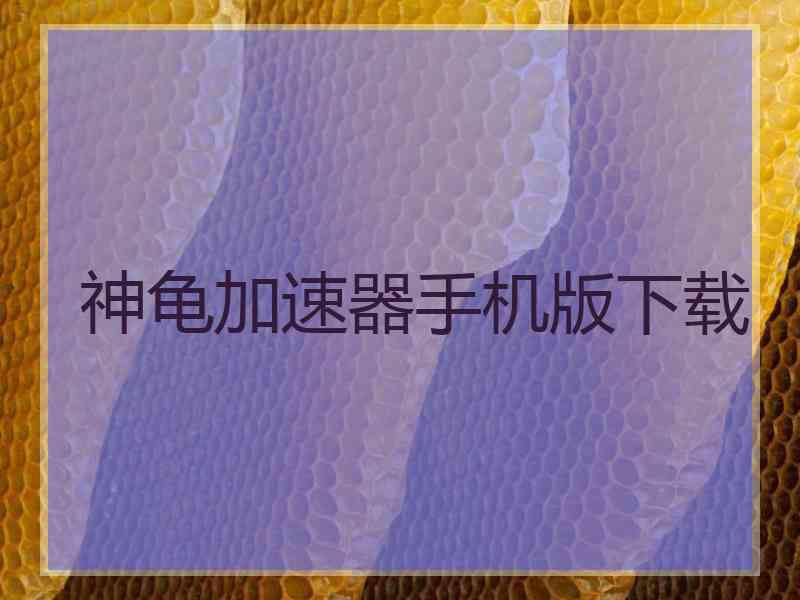 神龟加速器手机版下载