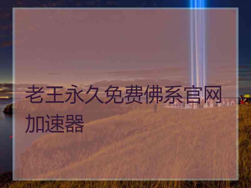 老王永久免费佛系官网加速器