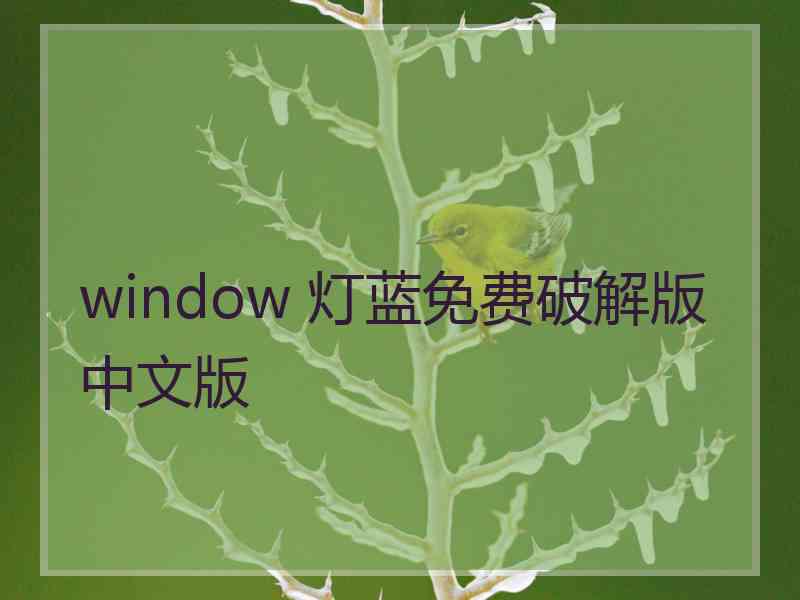 window 灯蓝免费破解版中文版