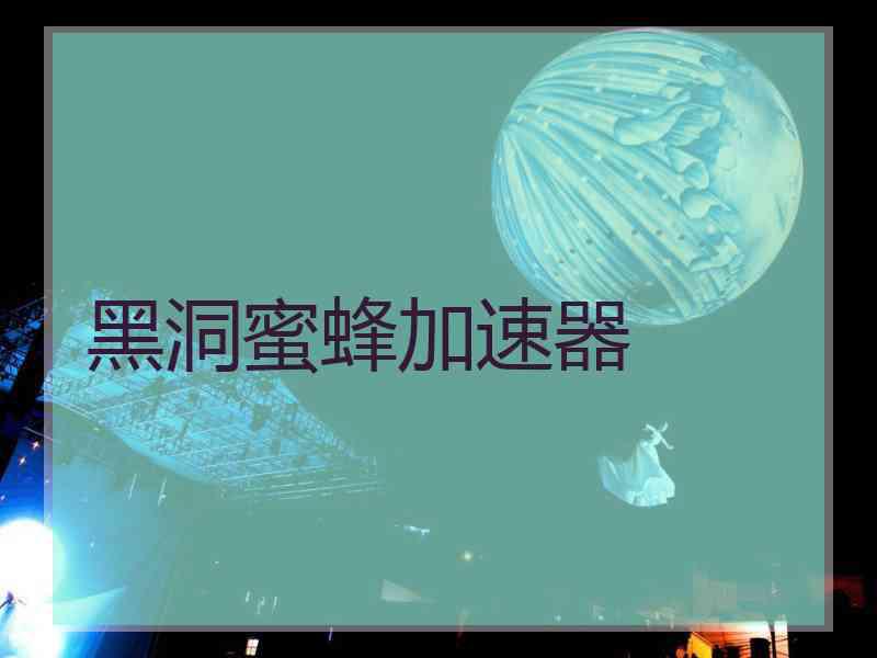 黑洞蜜蜂加速器