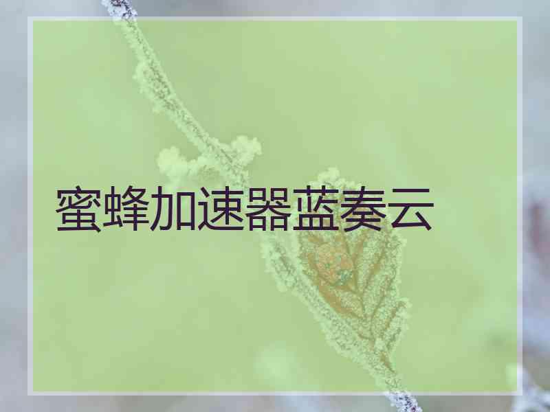 蜜蜂加速器蓝奏云