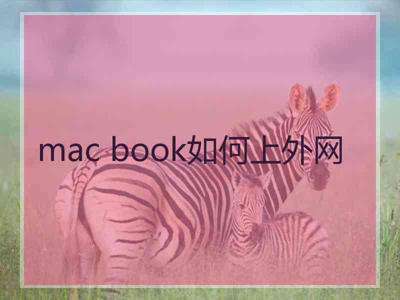 mac book如何上外网