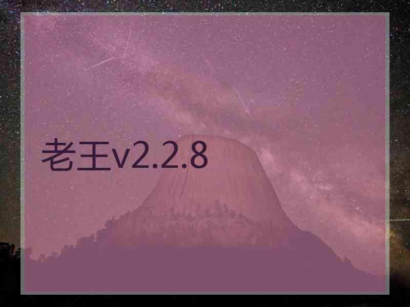 老王v2.2.8