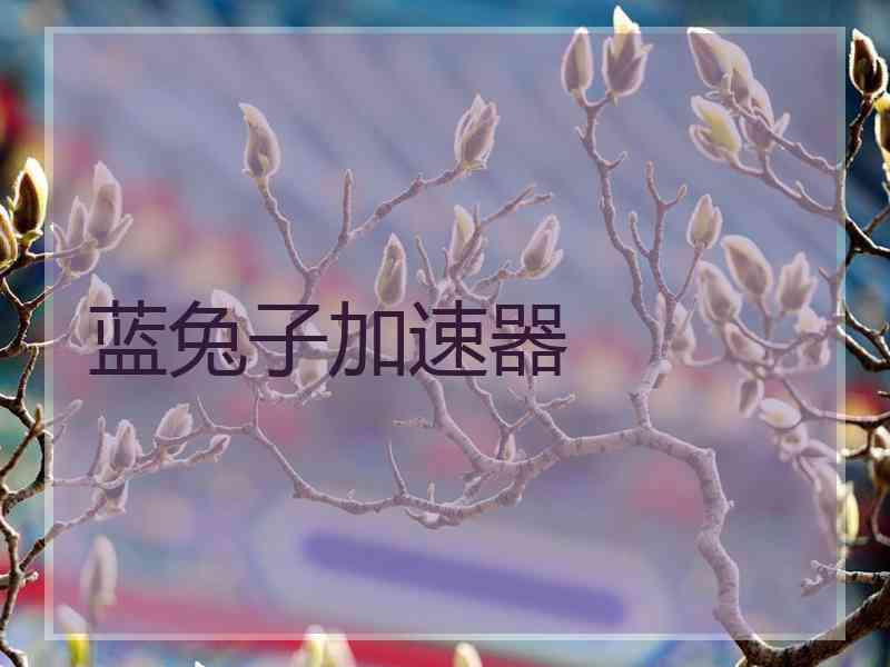 蓝兔子加速器
