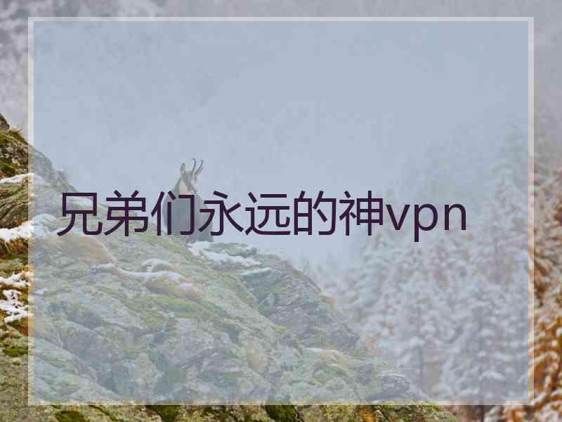 兄弟们永远的神vpn