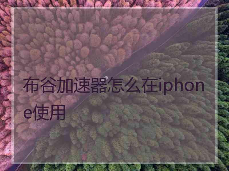 布谷加速器怎么在iphone使用