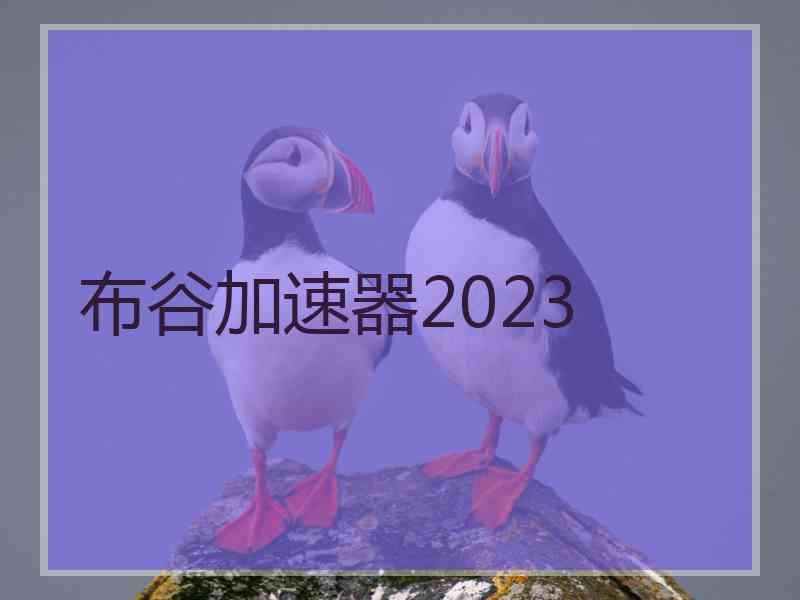 布谷加速器2023