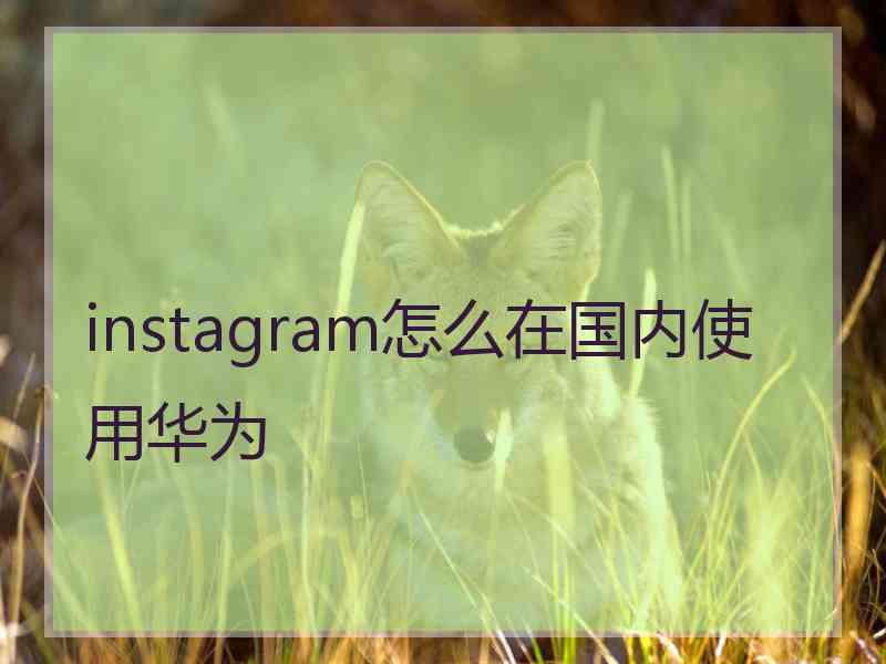 instagram怎么在国内使用华为