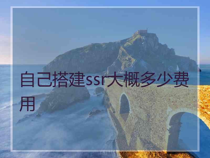 自己搭建ssr大概多少费用