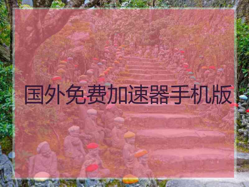 国外免费加速器手机版