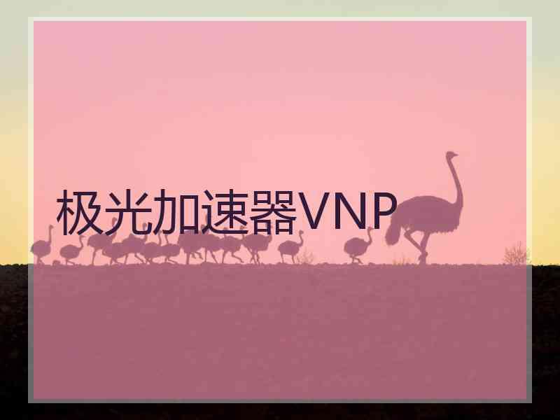 极光加速器VNP
