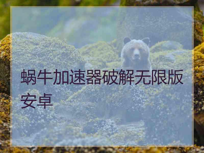 蜗牛加速器破解无限版安卓