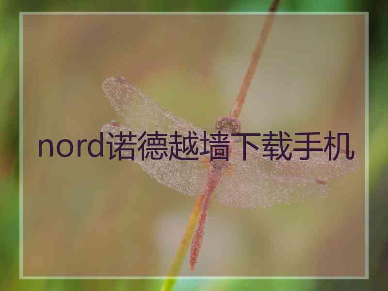 nord诺德越墙下载手机