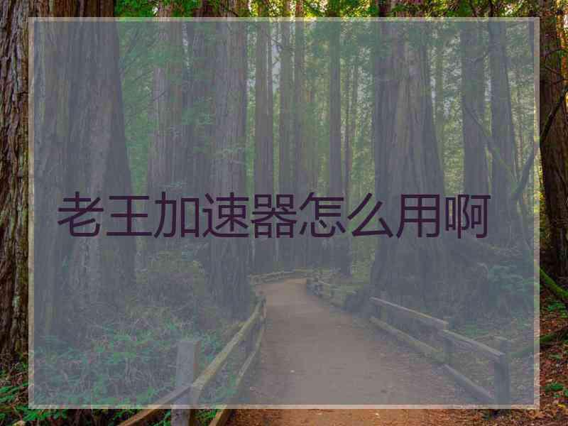 老王加速器怎么用啊