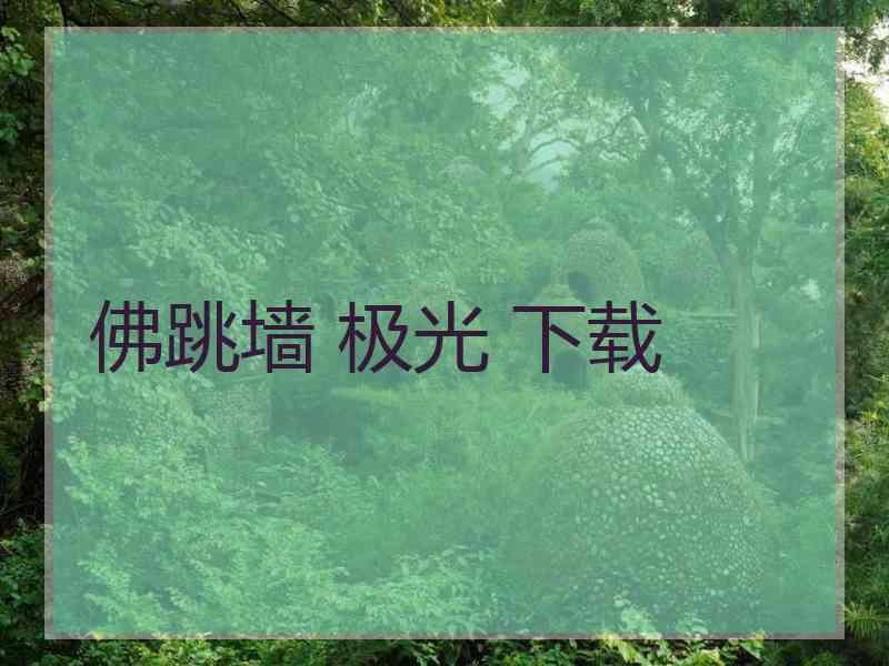 佛跳墙 极光 下载