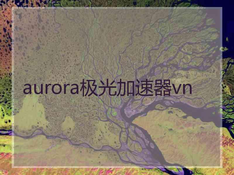 aurora极光加速器vn