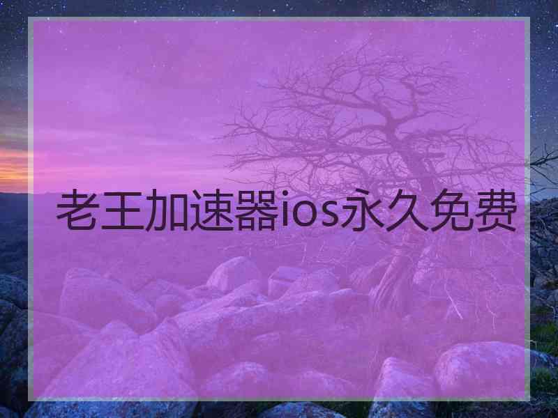 老王加速器ios永久免费