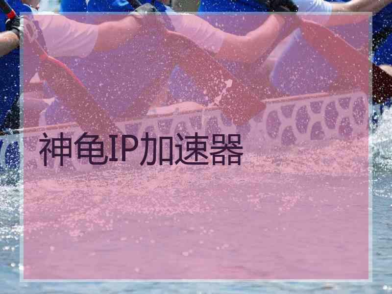 神龟IP加速器