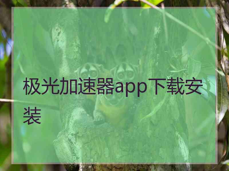 极光加速器app下载安装