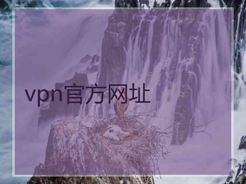 vpn官方网址