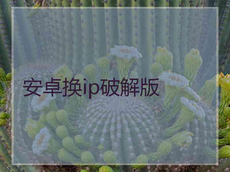 安卓换ip破解版
