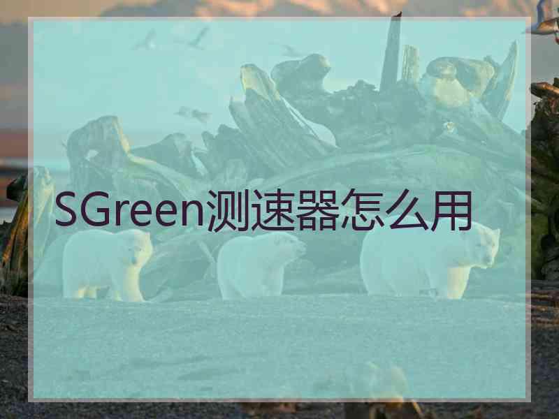 SGreen测速器怎么用