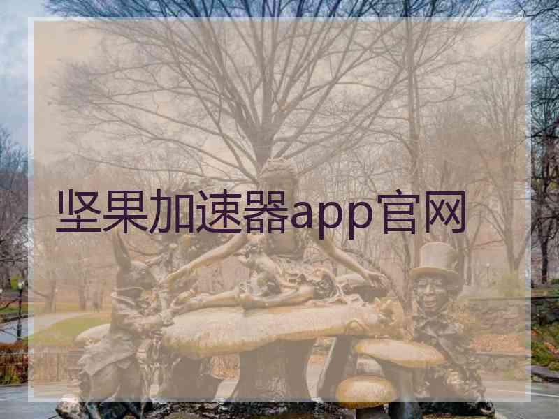 坚果加速器app官网