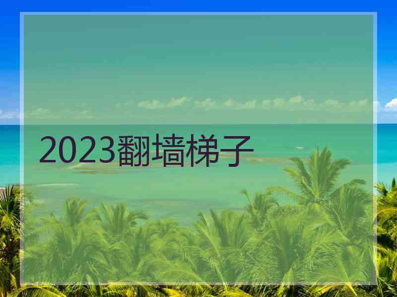 2023翻墙梯子
