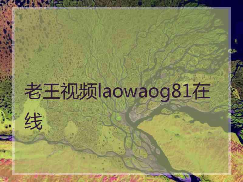 老王视频laowaog81在线