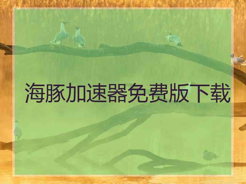 海豚加速器免费版下载