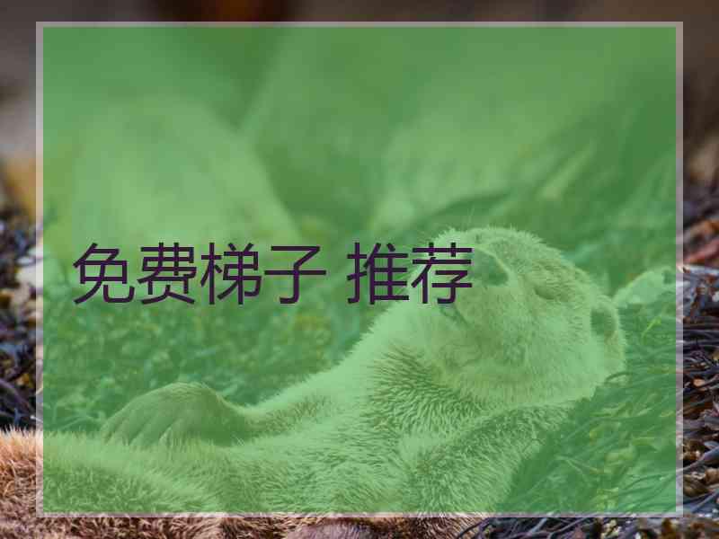 免费梯子 推荐