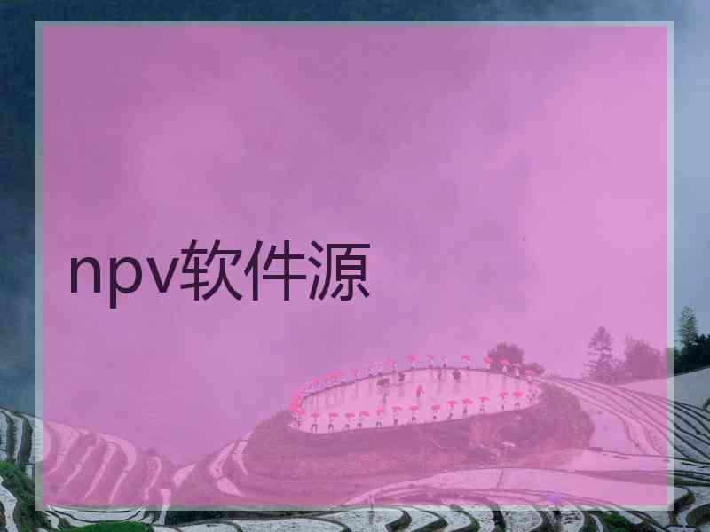 npv软件源