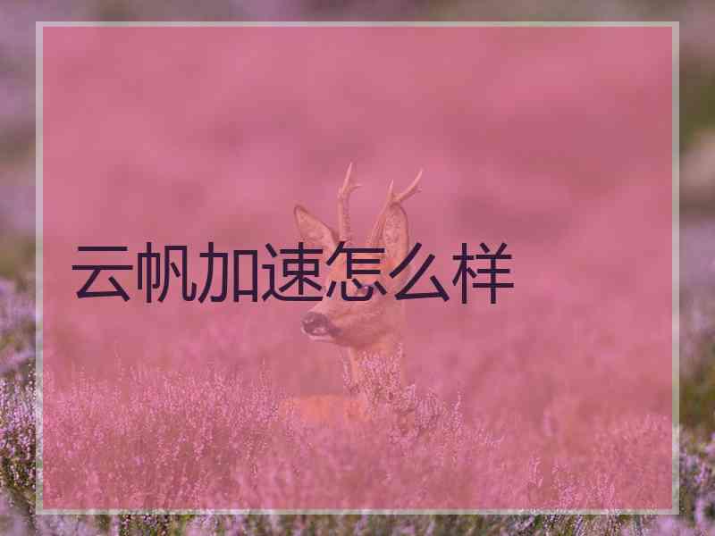 云帆加速怎么样