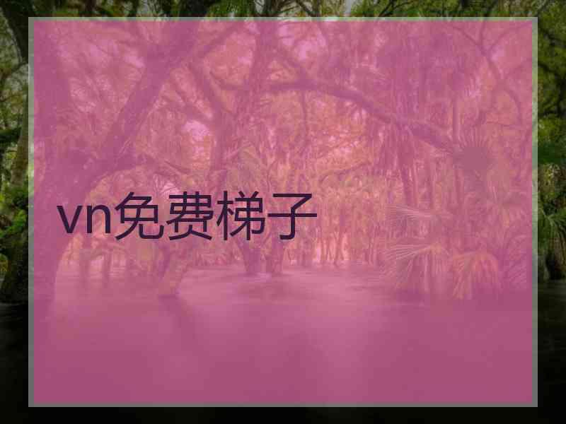 vn免费梯子