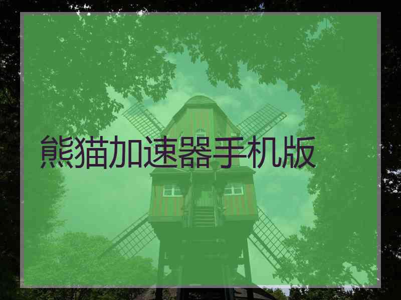 熊猫加速器手机版