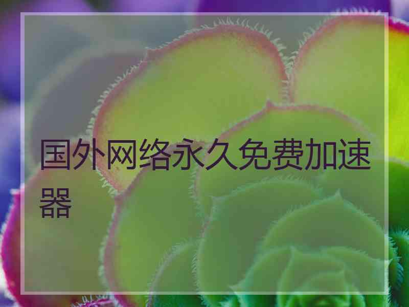 国外网络永久免费加速器