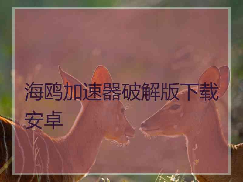 海鸥加速器破解版下载安卓