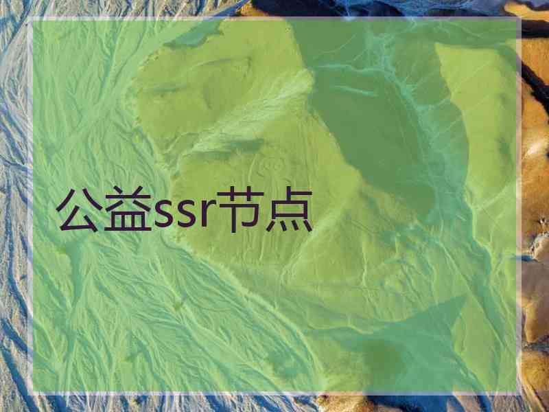 公益ssr节点