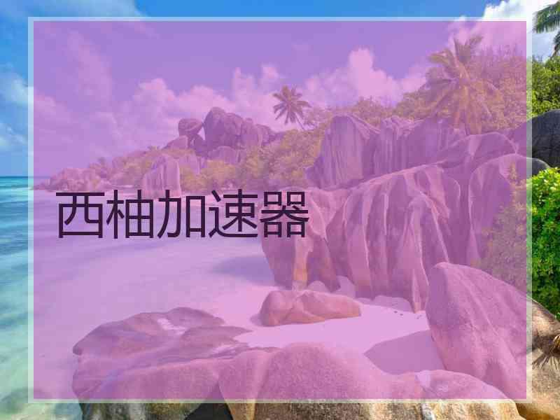 西柚加速器