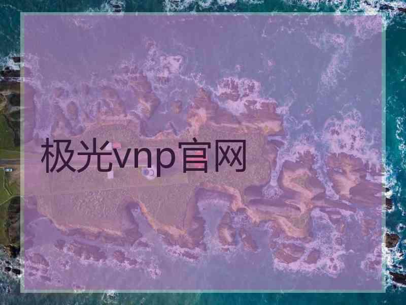 极光vnp官网