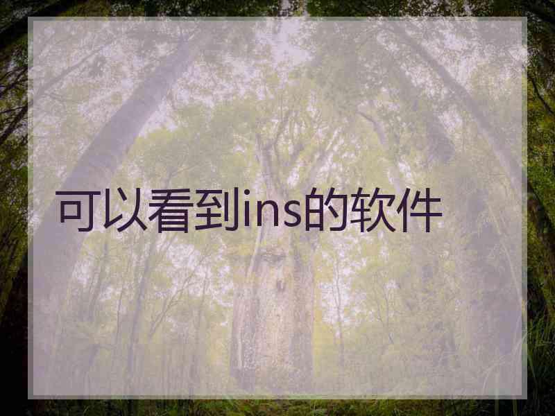 可以看到ins的软件