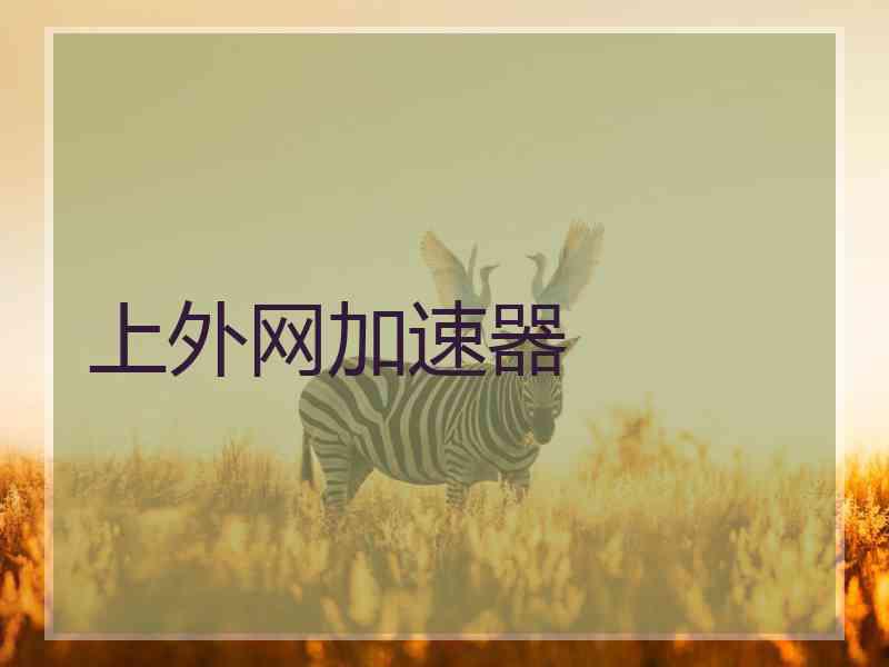上外网加速器
