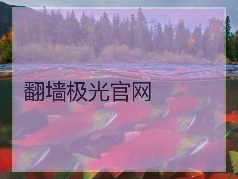 翻墙极光官网