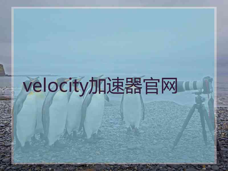 velocity加速器官网