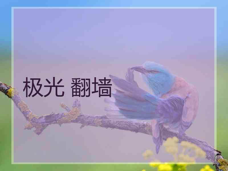 极光 翻墙
