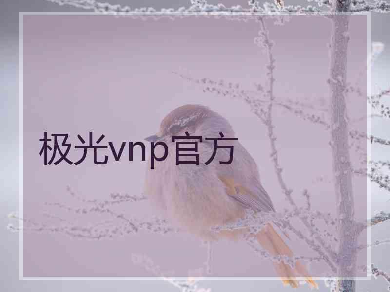 极光vnp官方