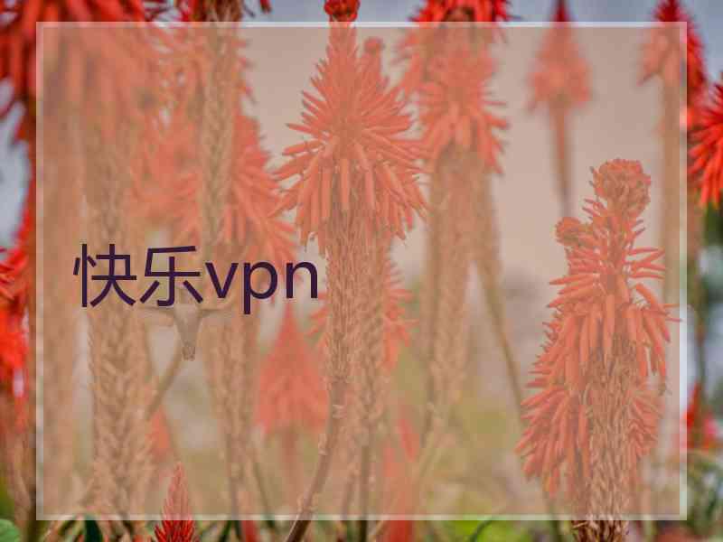 快乐vpn