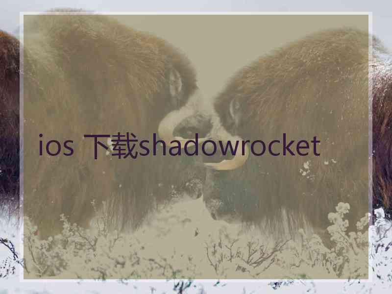 ios 下载shadowrocket